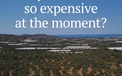 Why is olive oil so expensive at the moment?