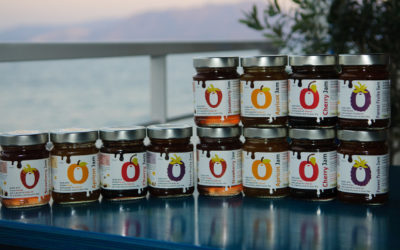 Olive Oil Jam Launch