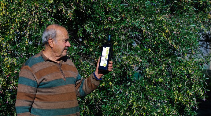 What makes good quality Olive Oil?